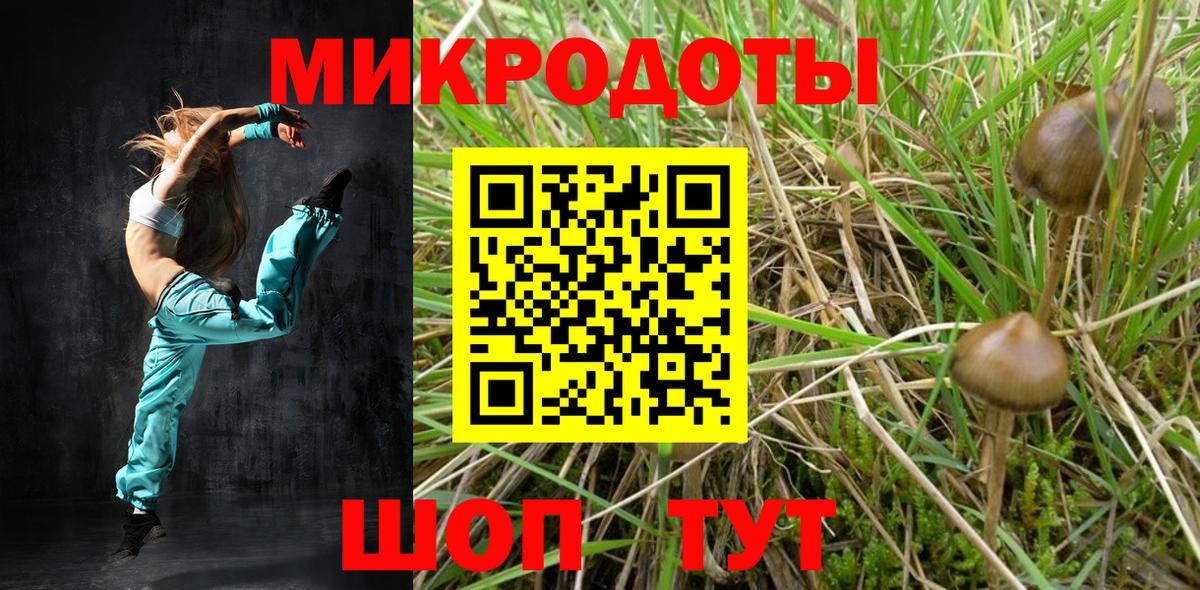 Новозыбков  Псилоцибиновые грибы ЛСД  Псилоцибиновые грибы GOLDEN TEACHER  Вход с VPN 