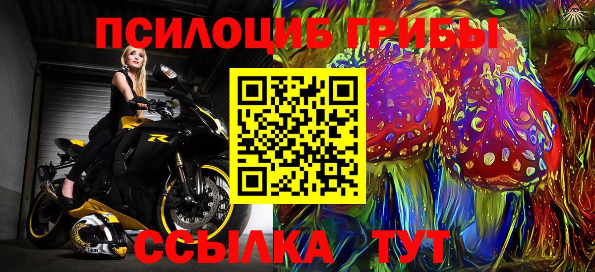 Псилоцибиновые грибы мухоморы Новозыбков